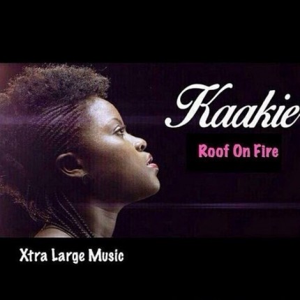 kaakie-roof-on-fire-600x600