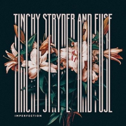 tinchy-stryder-imperfection-450x450
