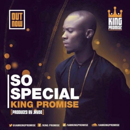 King-Promise-500x500